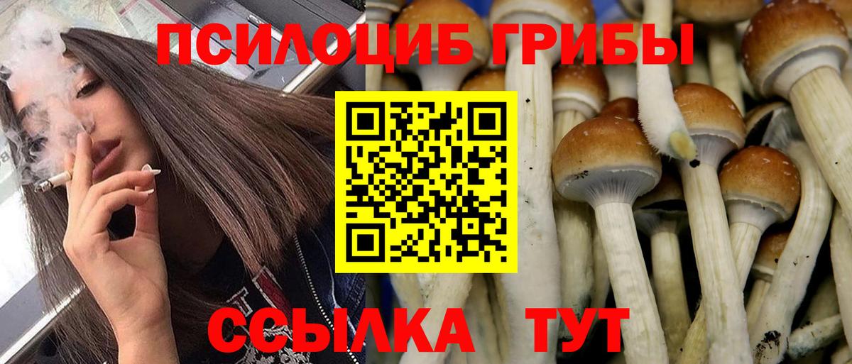 Псилоцибиновые грибы мицелий  Вход с VPN  Назарово 